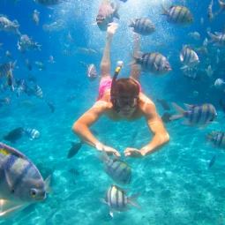 Tiran Island Snorkeling Cruise Tour from Sharm El Sheikh